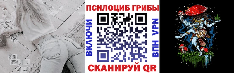 Галлюциногенные грибы Psilocybe  дарнет шоп  Волжск 