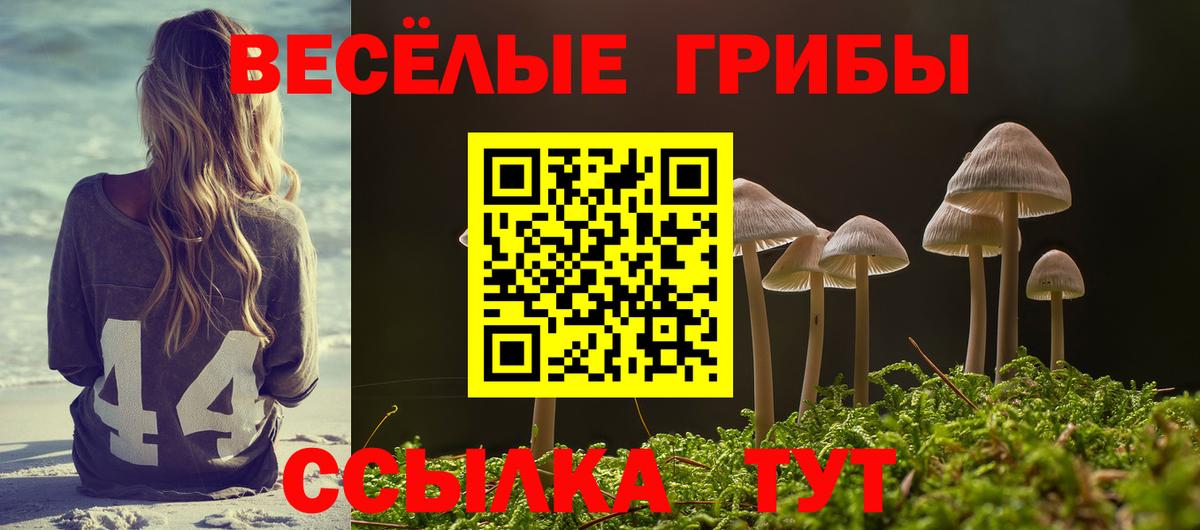 Волжск  Галлюциногенные грибы Psilocybe  Вход с VPN 