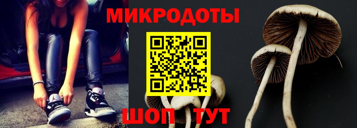 Псилоцибиновые грибы мухоморы Волжск